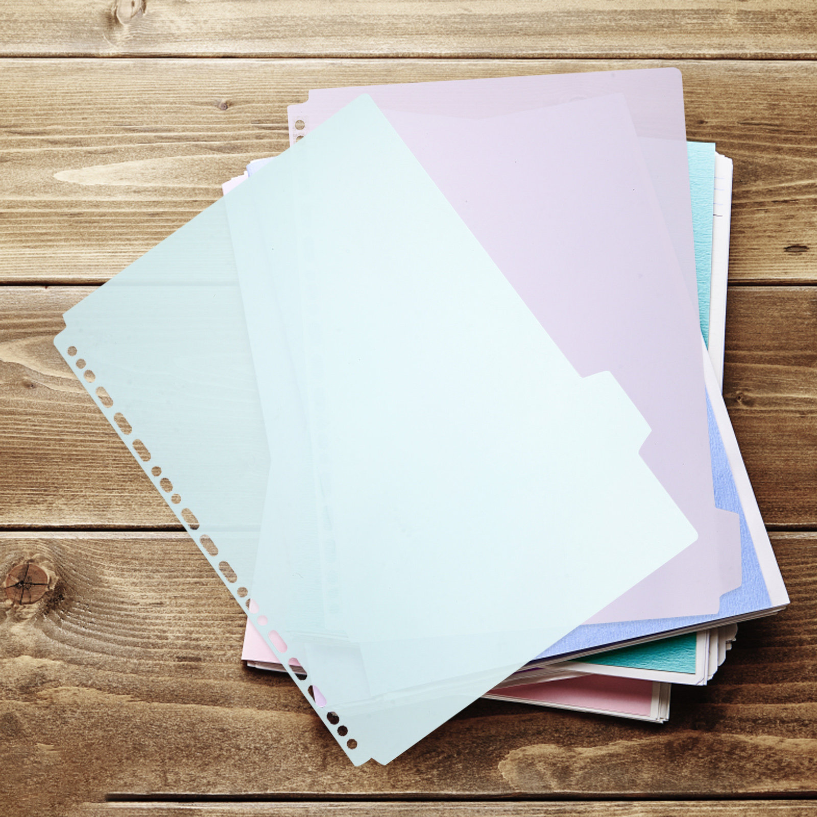 6Pcs Sturdy PP Tabbed Binder D - Tab Divider A4 บทวิจารณ์และราคา